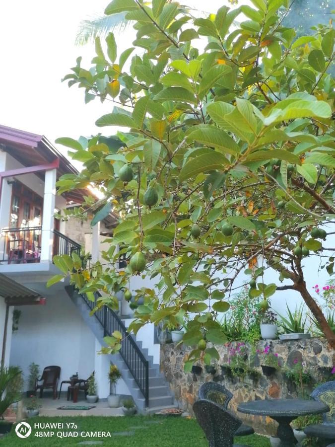 Villa Wismar Hikkaduwa Exterior photo